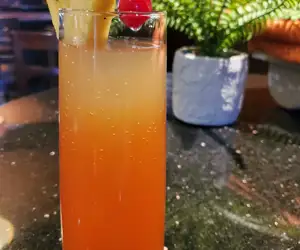 Tropical Bellini